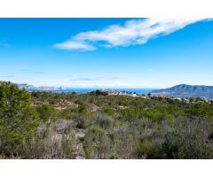 ¡OPORTUNIDAD ÚNICA! VENTA DE TERRENOS RURALES REPARCELABLES DE 10.000 M2, CON IMPRESIONANTES VISTAS