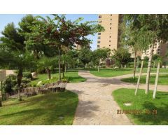 Piso en Venta en Benidorm, Alicante