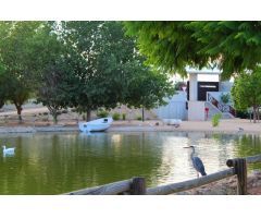 CHALET INDEPENDIENTE CON PISCINA PRIVADA EN BENIJOFAR