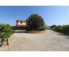 FINCA CON EXPLOTACIÓN AGRÍCOLA