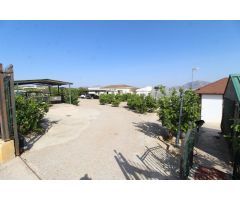 FINCA CON EXPLOTACIÓN AGRÍCOLA