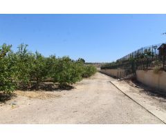 FINCA CON EXPLOTACIÓN AGRÍCOLA