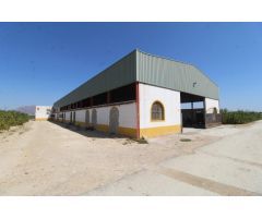 FINCA CON EXPLOTACIÓN AGRÍCOLA