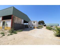 FINCA CON EXPLOTACIÓN AGRÍCOLA