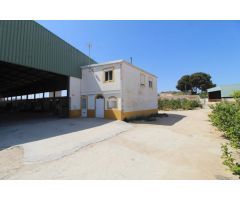 FINCA CON EXPLOTACIÓN AGRÍCOLA