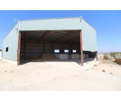 FINCA CON EXPLOTACIÓN AGRÍCOLA