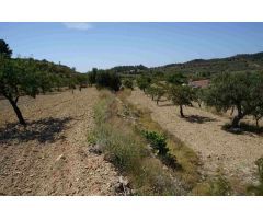 Parcela en Venta en Relleu, Alicante