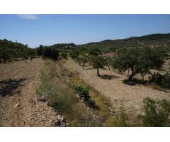 Parcela en Venta en Relleu, Alicante