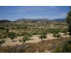 Parcela en Venta en Relleu, Alicante