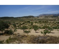 Parcela en Venta en Relleu, Alicante