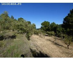 Finca rustica en Venta en Torremanzanas/Torre de les Maçanes, la, Alicante