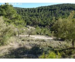 Finca rustica en Venta en Torremanzanas/Torre de les Maçanes, la, Alicante