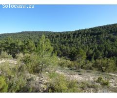 Finca rustica en Venta en Torremanzanas/Torre de les Maçanes, la, Alicante