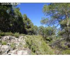 Finca rustica en Venta en Torremanzanas/Torre de les Maçanes, la, Alicante