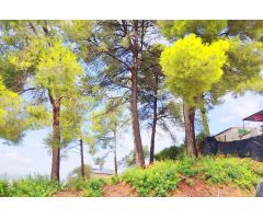 Terreno en Can Villalba