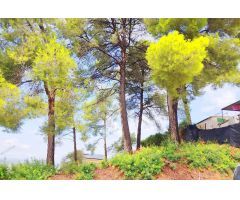 Terreno en Can Villalba