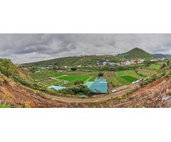 Finca rústica en producción, con agua y vivienda a reformar.