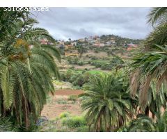 TERRENO URBANO EN SANTA BRÍGIDA - 22 VIVIENDAS