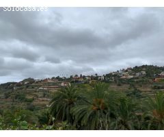 TERRENO URBANO EN SANTA BRÍGIDA - 22 VIVIENDAS