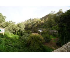 Encantadora Casa Rústica en Teror, Zona del Hornillo, con Amplio Terreno y Vistas Privilegiadas