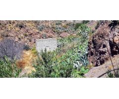 Terreno con olivos, invernadero y cuarto apero con agua y luz en la montaña de San Bartolomé de Tira