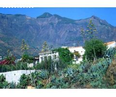 VIVIENDA Y FINCA RUSTICA