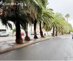 Local comercial en El Palmeral