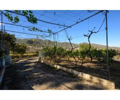 Espectacular Finca con Casa y Vistas de Ensueño en Las Vegas de Valsequillo