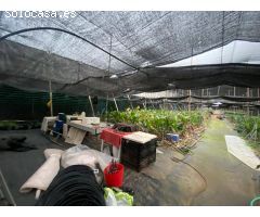 Finca con vivienda