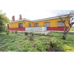 FINCA RUSTICA DE 32.000 M2 EN GIBRALEÓN CON CASA