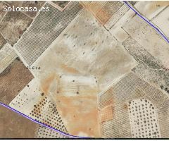 FINCA RÚSTICA DE 5,82 HECTÁREAS EN CONCESIÓN ADMINISTRATIVA EN ALMONTE (HUELVA)