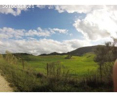 CASA CORTIJO EN FINCA RÚSTICA DE 756 ha CON COTO DE CAZA Y GANADERÍA (SIERRA SUR SEVILLA)