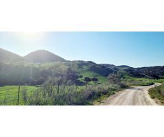 CASA CORTIJO EN FINCA RÚSTICA DE 756 ha CON COTO DE CAZA Y GANADERÍA (SIERRA SUR SEVILLA)