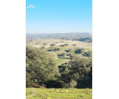 CASA CORTIJO EN FINCA RÚSTICA DE 756 ha CON COTO DE CAZA Y GANADERÍA (SIERRA SUR SEVILLA)
