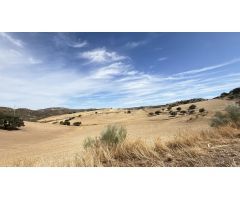 CASA CORTIJO EN FINCA RÚSTICA DE 756 ha CON COTO DE CAZA Y GANADERÍA (SIERRA SUR SEVILLA)