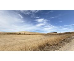 CASA CORTIJO EN FINCA RÚSTICA DE 756 ha CON COTO DE CAZA Y GANADERÍA (SIERRA SUR SEVILLA)