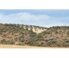CASA CORTIJO EN FINCA RÚSTICA DE 756 ha CON COTO DE CAZA Y GANADERÍA (SIERRA SUR SEVILLA)