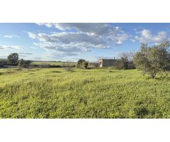 FINCA RÚSTICA USO AGRARIO EN GIBRALEÓN (HUELVA)