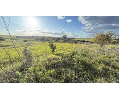 FINCA RÚSTICA USO AGRARIO EN GIBRALEÓN (HUELVA)