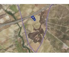 FINCA RÚSTICA USO AGRARIO EN GIBRALEÓN (HUELVA)