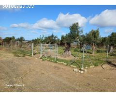 FINCA RUSTICA PARA ANIMALES Y CULTIVO