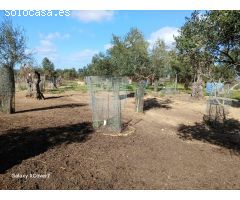 FINCA RUSTICA PARA ANIMALES Y CULTIVO