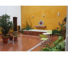 ENCANTADORA ADOSADA JUNTO A PLAZA DE LA MAGDALENA