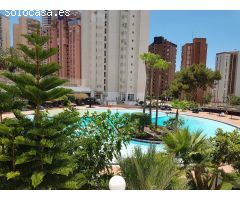 Magnifico Apartamento Reformado en Benidorm