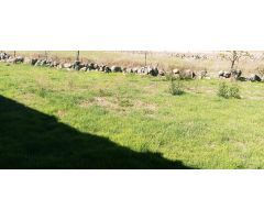 Solar urbano en Venta en Padiernos, Ávila