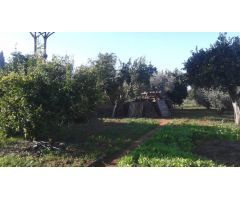 Finca Rústica