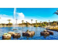 Chalet en Venta en Torrevieja, Alicante