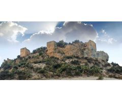 Chalet en Venta en San Vicente del Raspeig, Alicante
