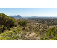 Chalet en Venta en San Vicente del Raspeig, Alicante