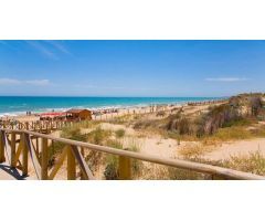 Villa de obra nueva 3 dormitorios con piscina privada en Benijofar (Alicante)